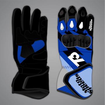 Alex Marquez Motorcycle Race Gloves MotoGP 2026