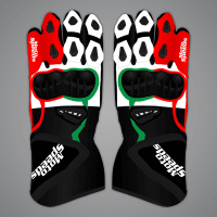 Johann Zarco Motorcycle Racing Gloves MotoGP 2024 upper view